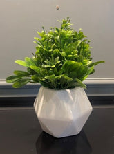 Diamond Ceamic Pot - Zeegalleria